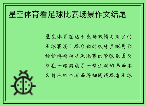 星空体育看足球比赛场景作文结尾
